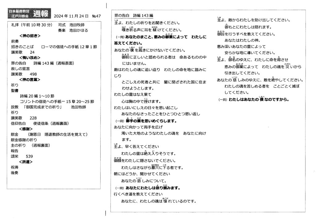 週報１１月２４日